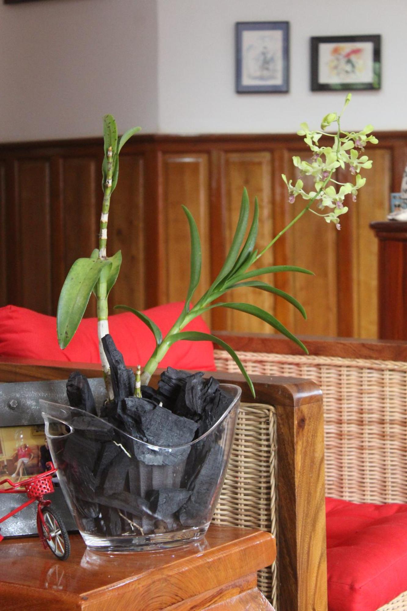 Villa B.Maison D'Hotes Angkor Siem Reap Eksteriør bilde